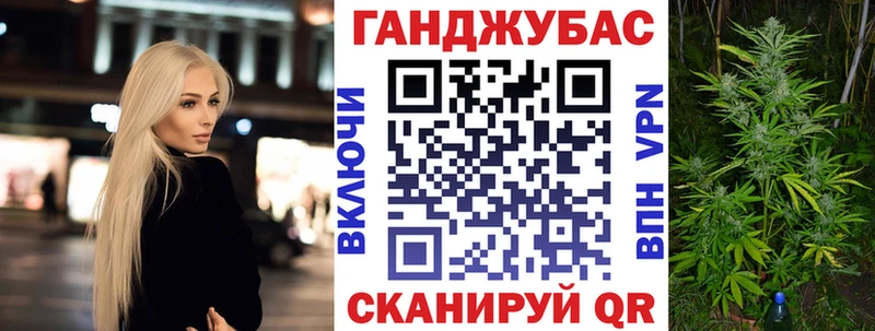 Купить закладки  Кинешма  Шишки марихуана конопля 